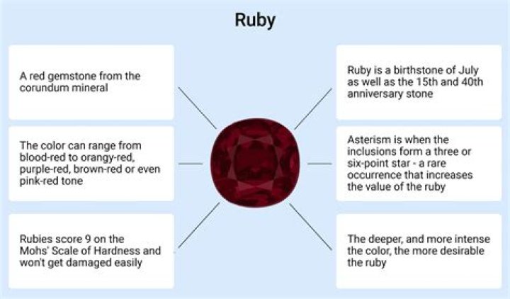 All You Need to Know About Ruby Kurzel: A Comprehensive Guide