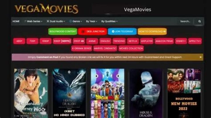 All You Need to Know About Vegamovies Official Website