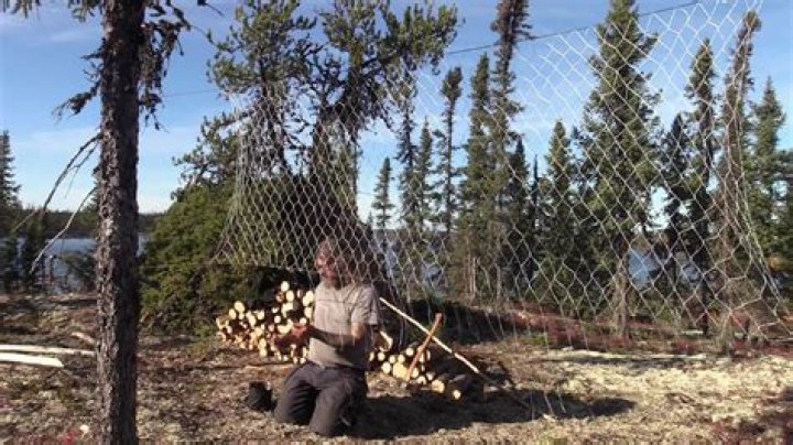 Alone Season 10: The Ultimate Survival Challenge