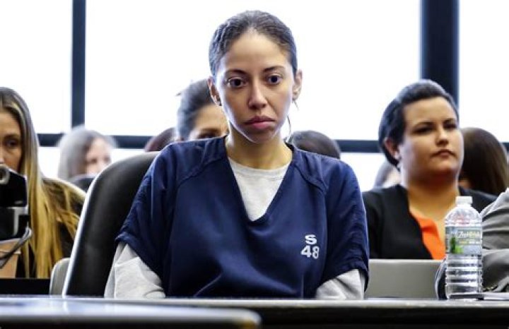 Dalia Mike Dippolito: The Intriguing Life of a Controversial Figure