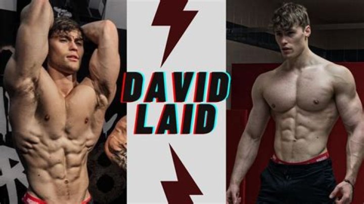 David Laid Height and Weight Insights for Fitness Enthusiasts