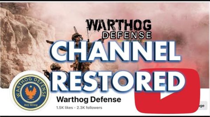Defending the Skies: A Comprehensive Look at YouTube Warthog Defense