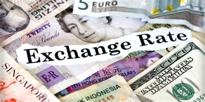Dolar Monitor: Understanding the Dynamics of Currency Exchange Rates