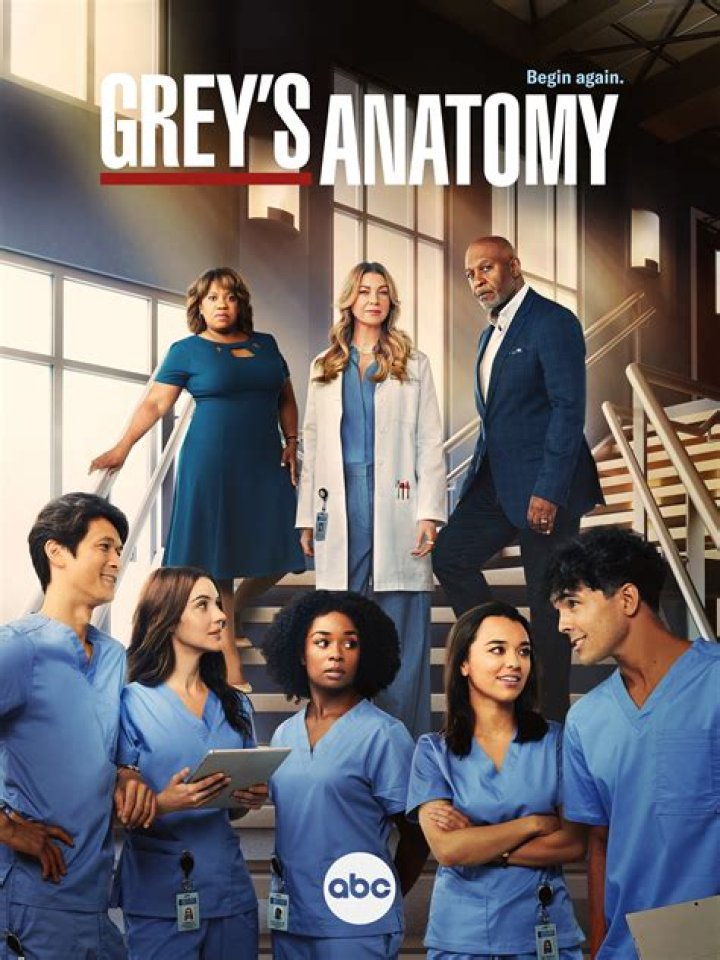 Exploring Bailey's Impact on Grey's Anatomy: A Comprehensive Analysis