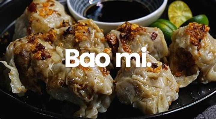 Exploring Baomi: The Cultural Phenomenon of Baomi in Modern Society