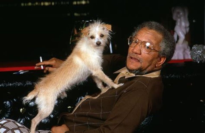 Exploring the Life and Career of Comedian Foxx