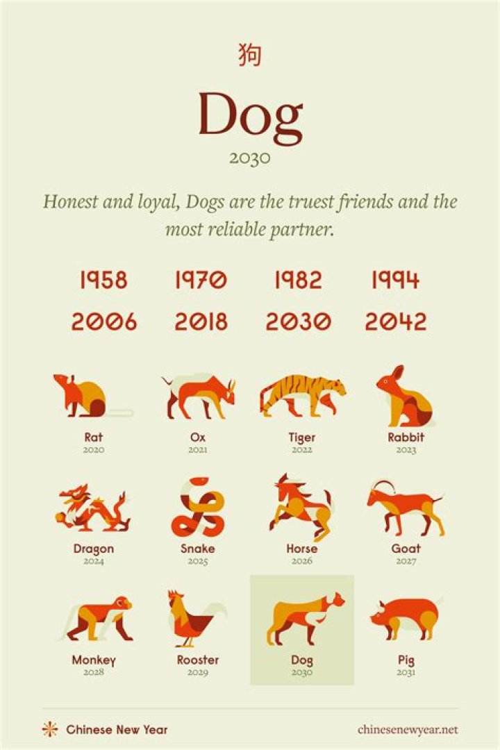 Exploring the Year of the Dog 1982: Insights and Cultural Significance