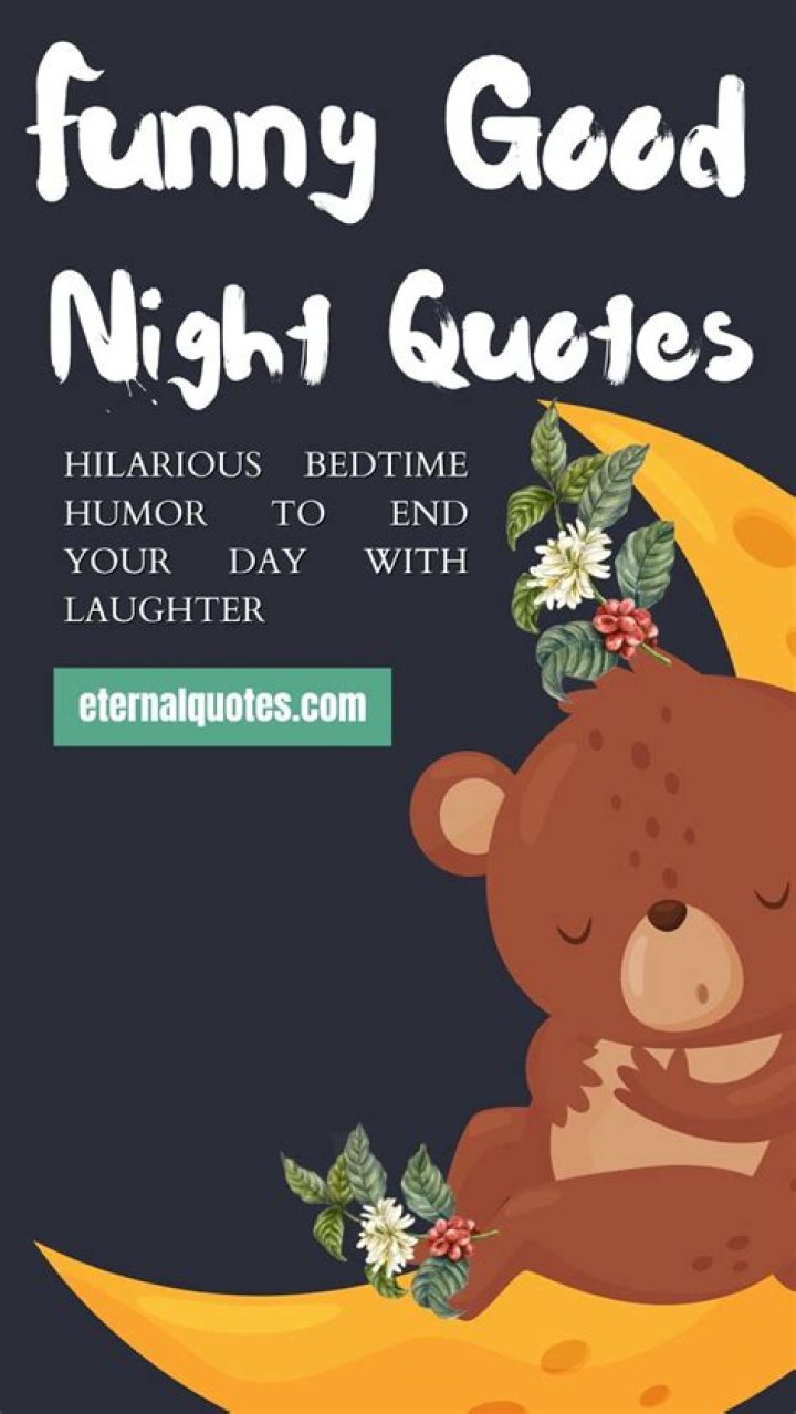 Good Night Funnies: The Perfect Way to End Your Day with Laughter