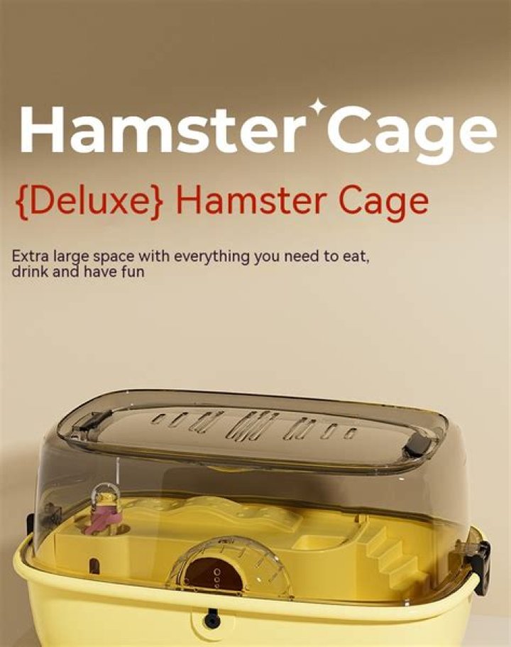 Hamster and Sunroof: The Perfect Pair for Pet Lovers