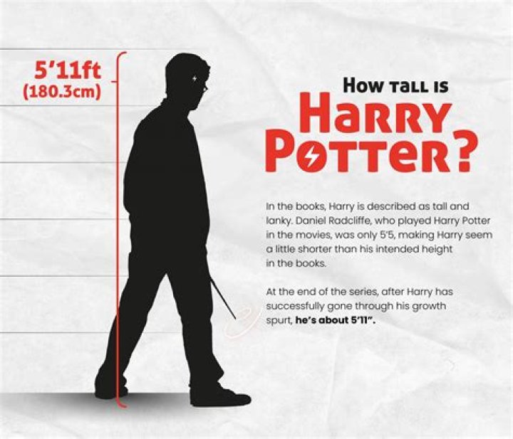 How Tall is Harry Hamlin? A Complete Guide to the Actor's Height and Career