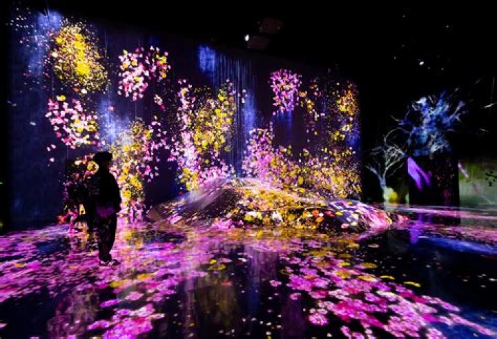 Immerse Yourself in the Vibrant Heart: Real World Austin