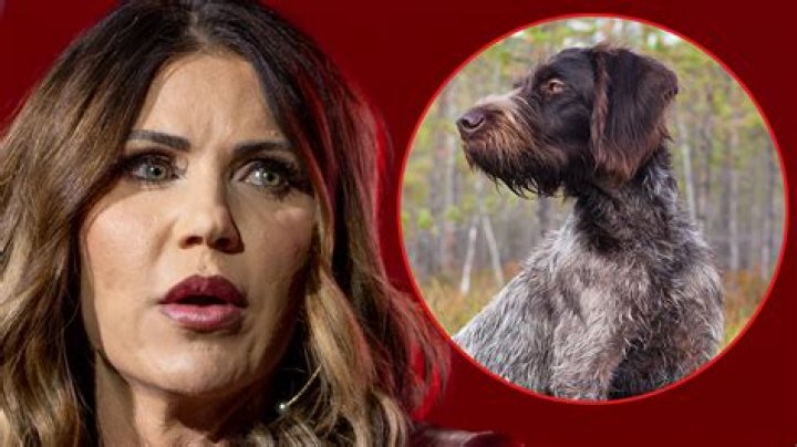 Is Hank Hill's Dog Named After Lady Bird?