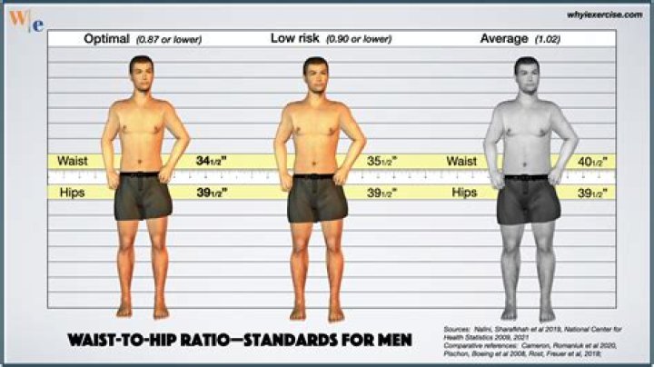 Is There a Theoretical Smallest Size Your Waist Can Be?