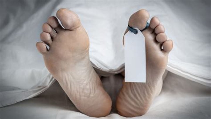 Lacey Fletcher Autopsy Results: A Comprehensive Analysis