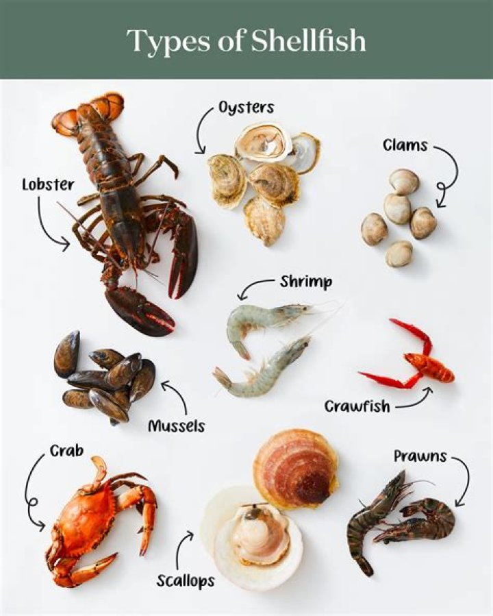 Leon&rsquo;s Oyster: A Deep Dive into the World of Shellfish Delicacies