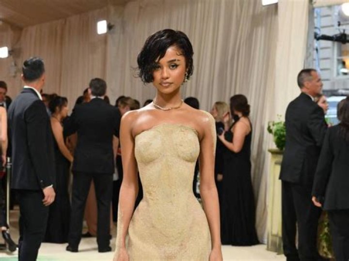 Lily Gladstone: A Rising Star and Her Met Gala Moments