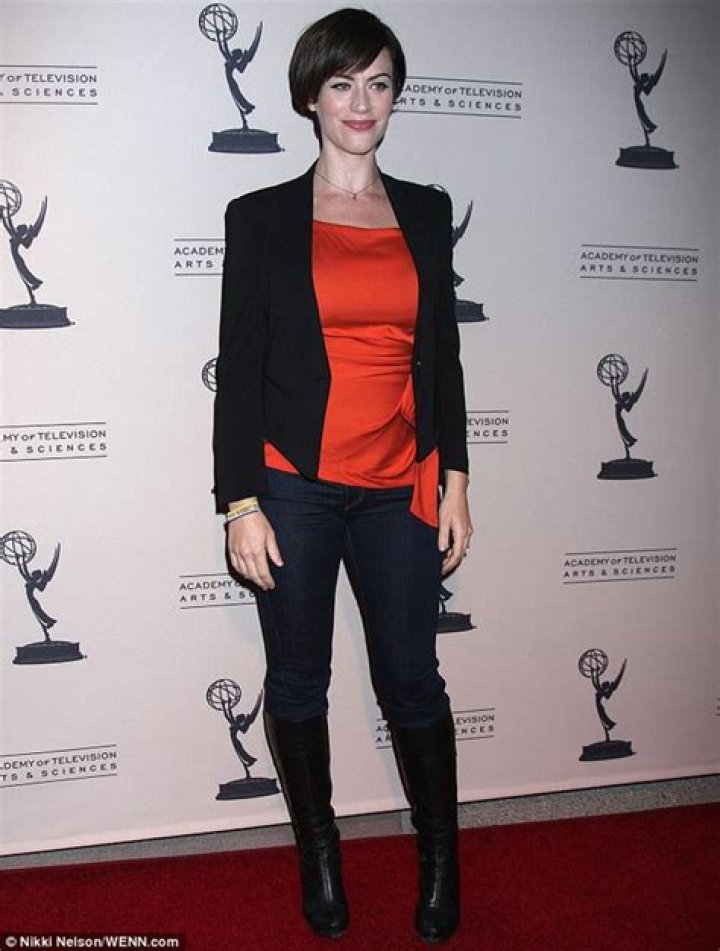 Maggie Siff Measurements: A Deep Dive into the Actress's Physical Attributes