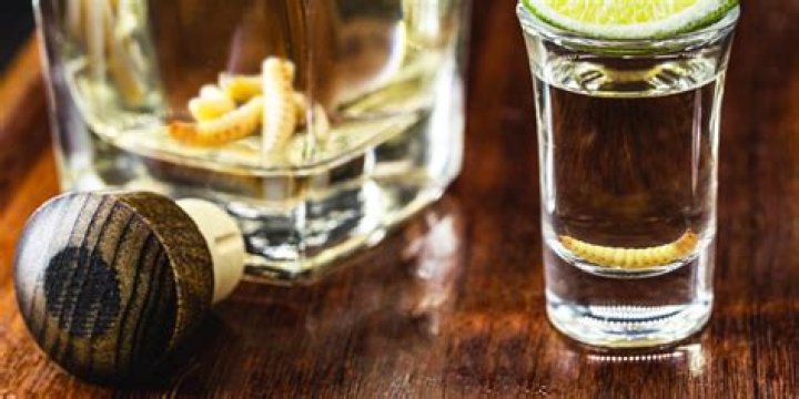 Mezcal: The Tequila with a Worm Inside - A Cultural Delicacy