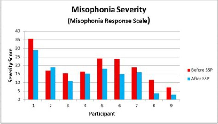 Misophonia Test: Assess Your Sensitivity to Everyday Sounds