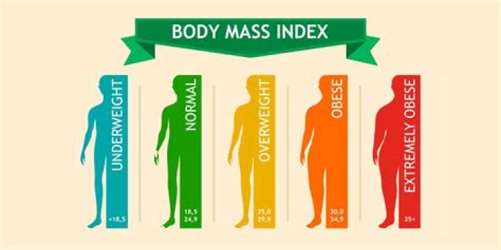 Morgan Craig BMI: Understanding the Body Mass Index of a Rising Star