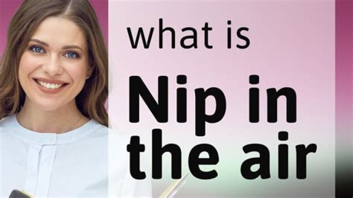 Nip Meaning: Understanding Its Significance and Usage