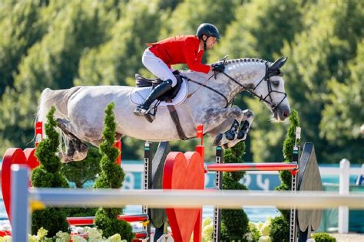 Olympic Horse on Water: A Unique Equestrian Experience