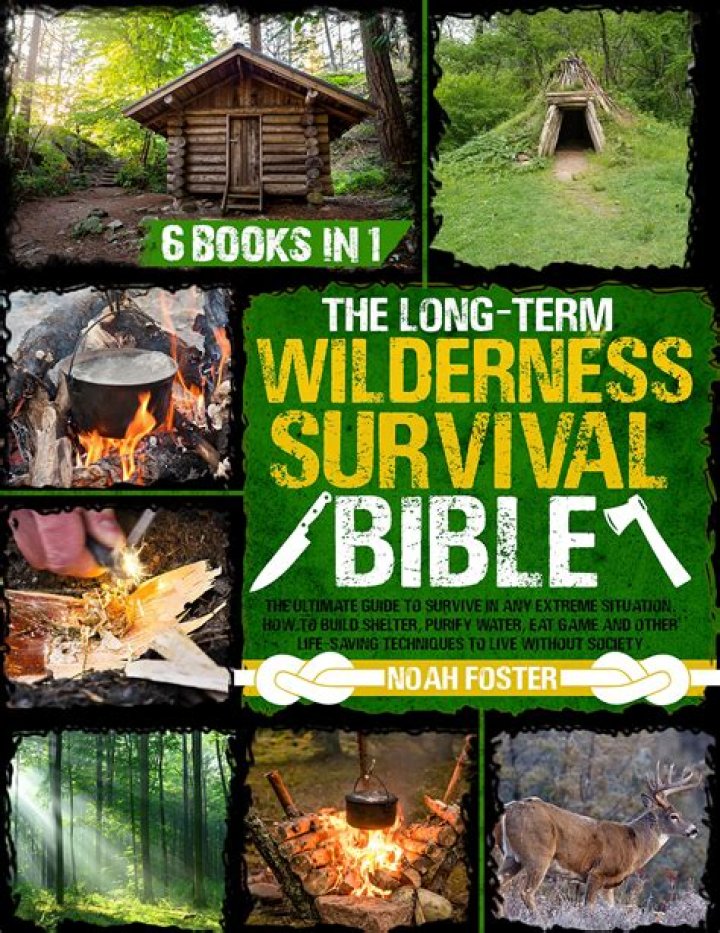 Survival Movies: The Ultimate Guide to Thrilling Cinematic Experiences