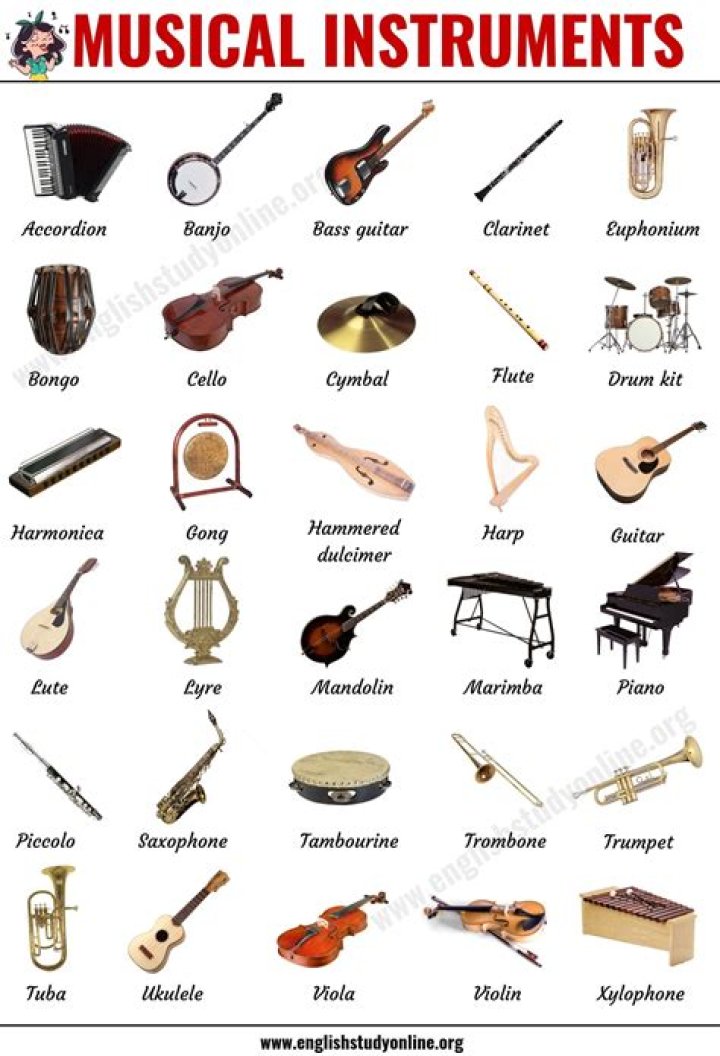 The Gear Page: An In-Depth Exploration of Musical Equipment and Community