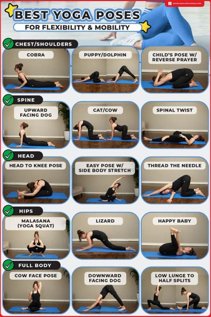 The Ultimate Guide to Contortionists: Unraveling the Secrets of Flexibility and Human Movement