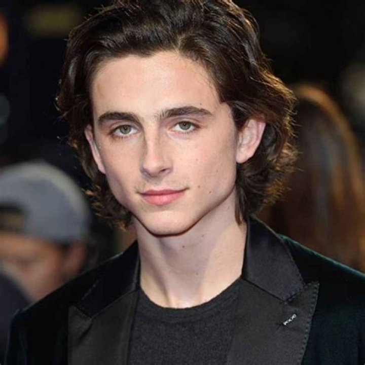 Timothy Chalamet Net Worth: A Deep Dive into the Rising Star's Financial Success