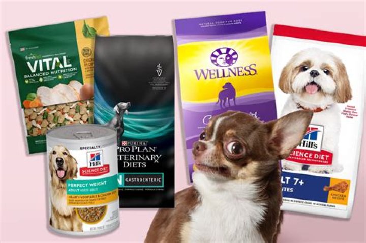 Top Recommended Dog Food for Small Dogs: A Comprehensive Guide