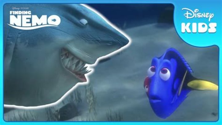 Ultimate Guide to Bruce from Finding Nemo