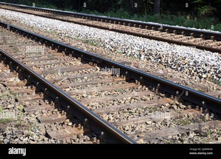 Understanding Railroad Track Ears: Causes, Effects, and Treatment