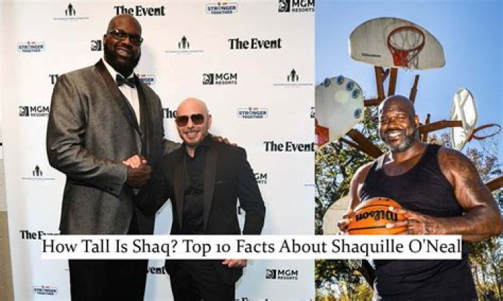 Understanding Shaquille O'Neal's Shoe Size: A Closer Look