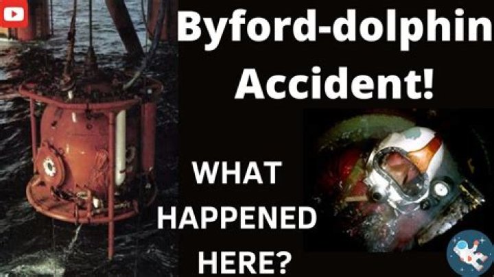 Understanding the BI 4 Dolphin Accident: A Deep Dive into the Incident and Its Implications