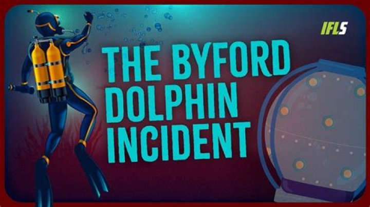 Understanding the Bi4 Dolphin Accident: A Comprehensive Analysis