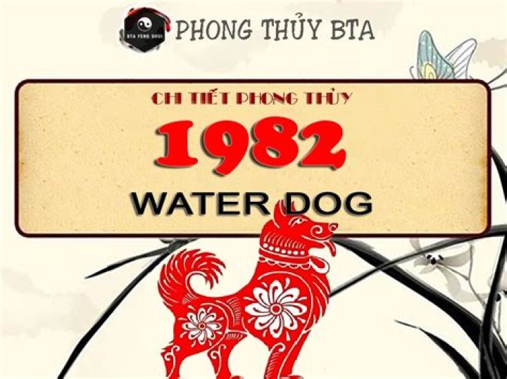 Understanding the Chinese Year of the Dog: 1982