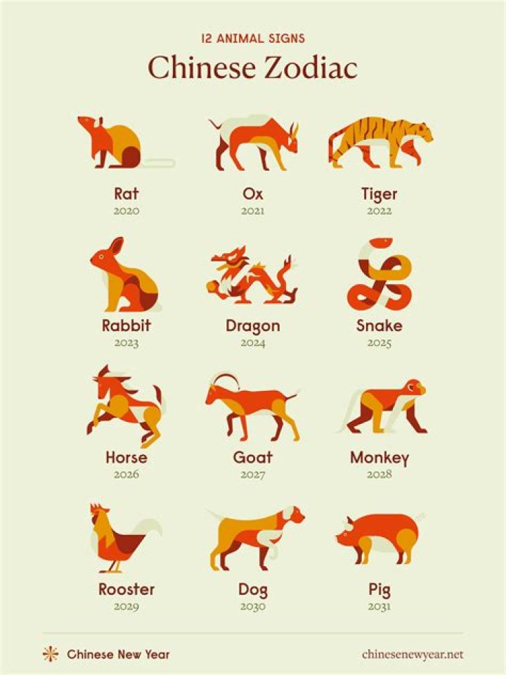 Understanding the Chinese Zodiac Animal Chart: A Comprehensive Guide