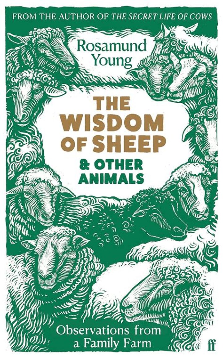 Unlocking the Wisdom of Angela Watson's Books: A Comprehensive Guide