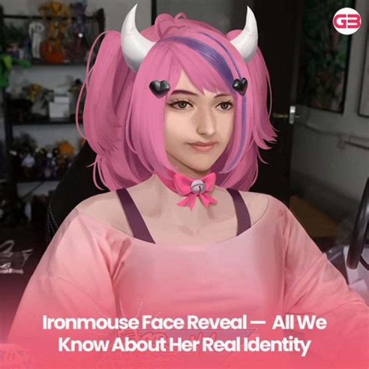 Unveiling the Mystery: The Face Behind Ironmouse