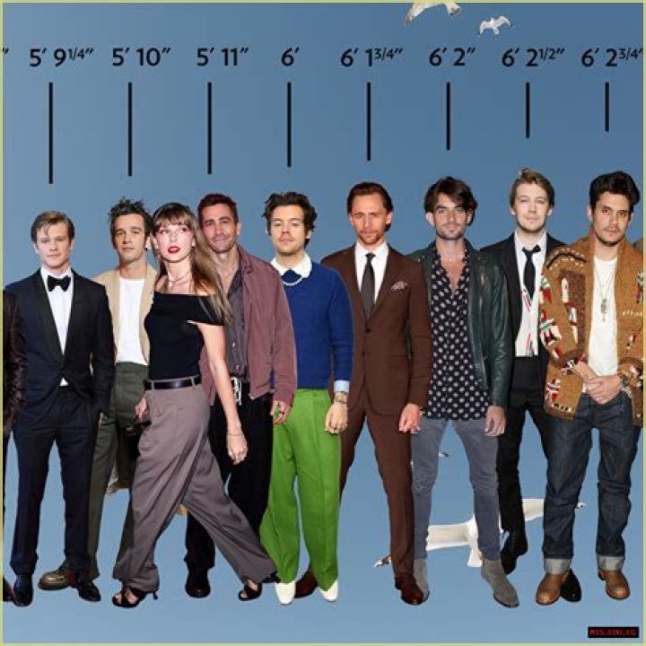 Unveiling the Stature: Curtis Stone Height and More