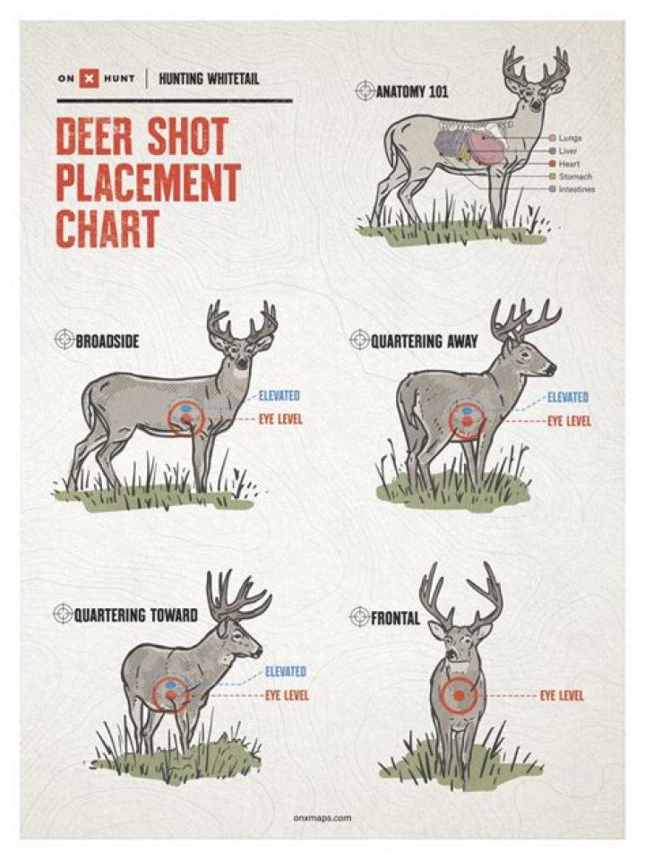 Unveiling the Truth About Young Buck Height: A Comprehensive Guide
