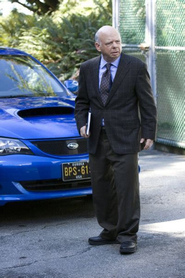 Wallace Shawn Net Worth 2024: A Look into the Esteemed Actor's Wealth
