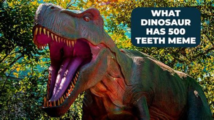 What Dinosaur Has 500 Teeth Joke: A Fun Exploration of Dino Humor