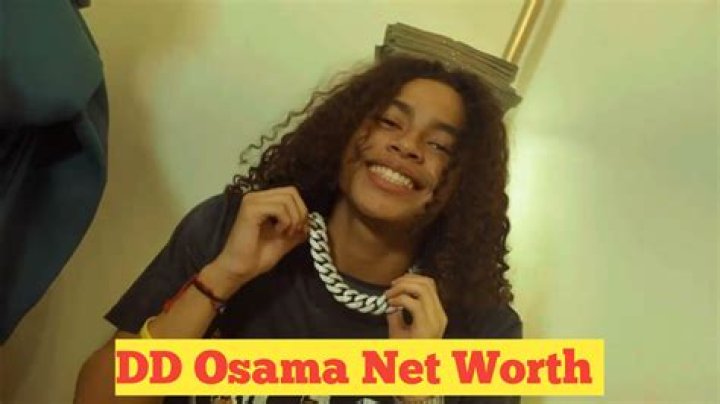Zoe Osama Net Worth: A Deep Dive into the Rising Star's Wealth